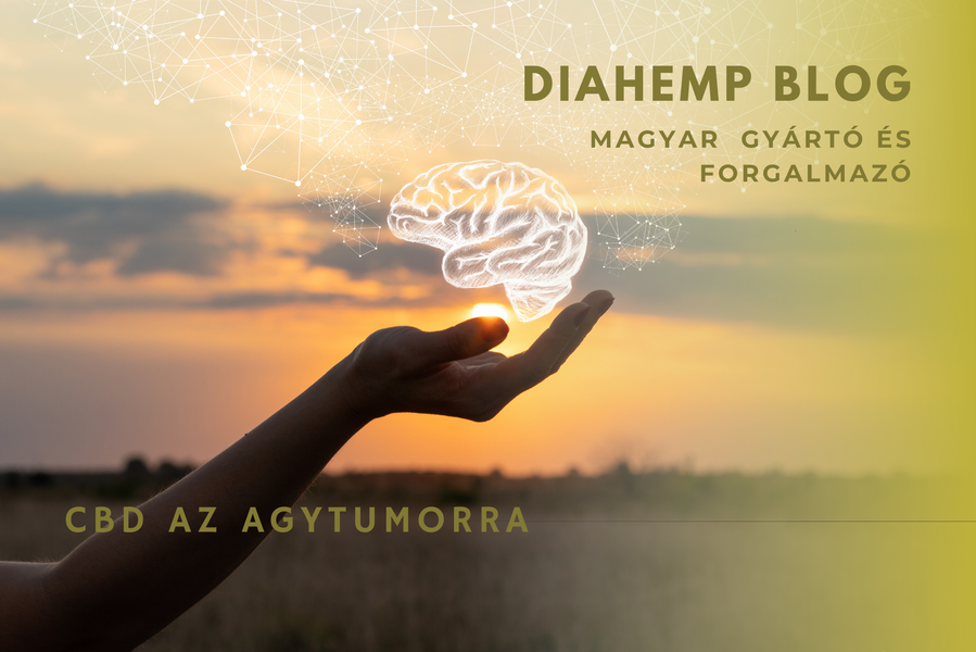 A CBD meggátolja az agytumort - tanulmány